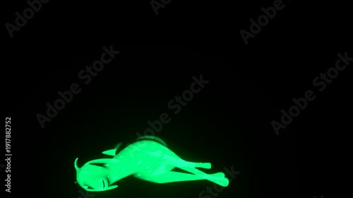 X-Ray Skeleton Goat Death Fall 3D Animation