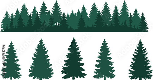 Evergreen pine tree silhouettes and dense conifer forest border isolated on white background, vector illustration set for nature landscape and woodland design projects