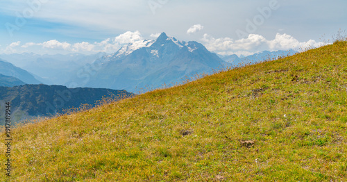 Green meadows in diagonal view, on the slopes of the alps at the border between France and Italy. High mountain peaks vith glaciers on the background.