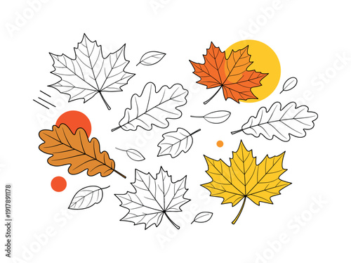 Autumn Leaves Close-Up. Floating maple and oak leaves arranged like a visual study, veins and shapes clearly