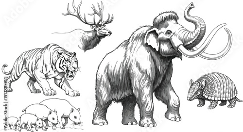 Ancient animals gathered together in a simple drawing.