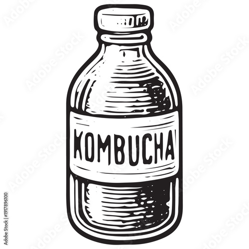 Kombucha bottle sketch, fermented tea drink illustration, probiotic beverage vector