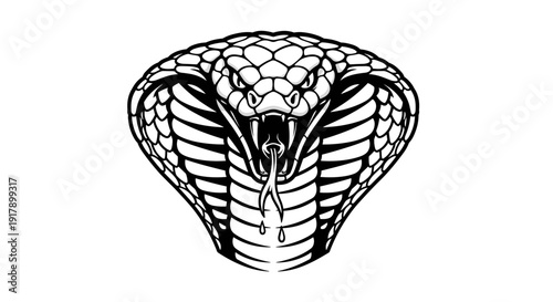 Black and White Cobra Head Illustration.