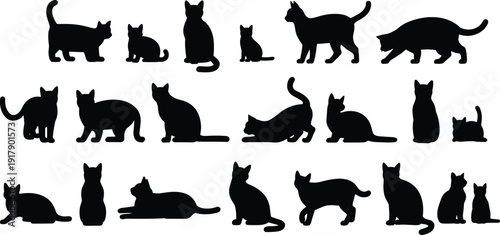 Silhouettes of twenty cats in diverse poses including sitting, standing, walking, stretching, lying down, and grooming, abstract artistic arrangement symbolizing feline posture and behavior
