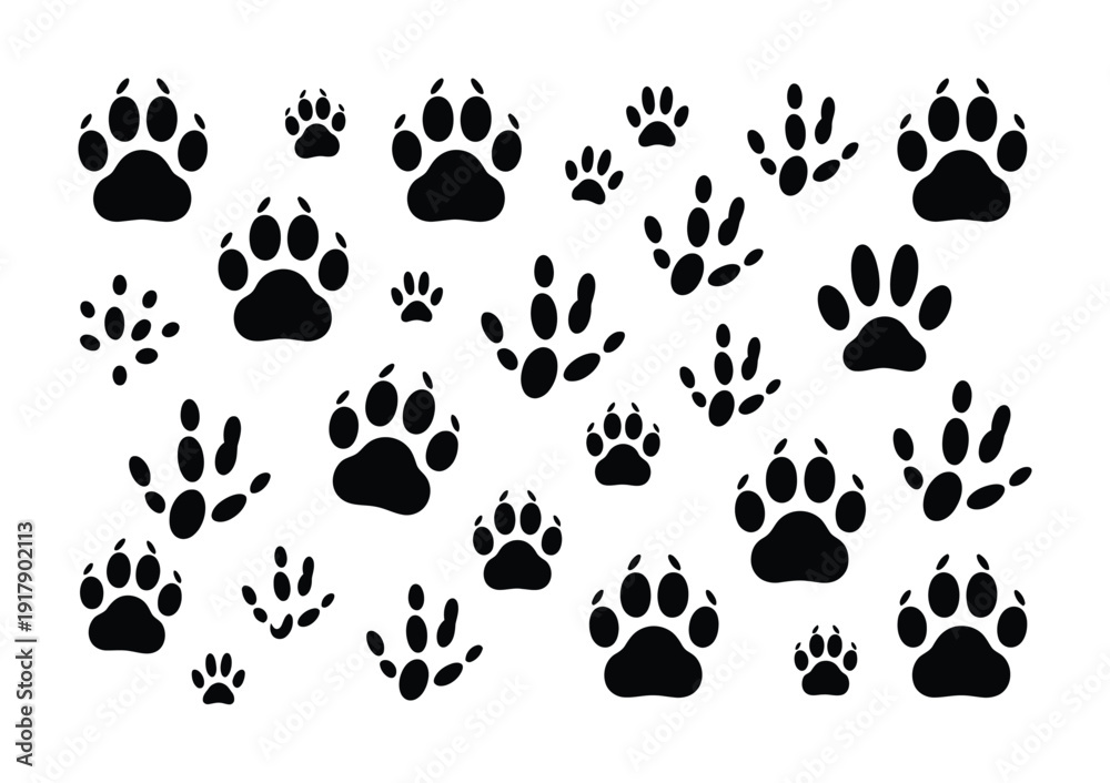 Fototapeta premium A Collection of Black Animal Paw Prints on a White Background