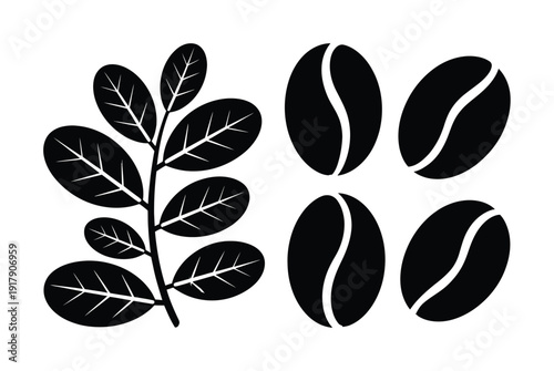 Black and white of coffee beans and a branch with leaves