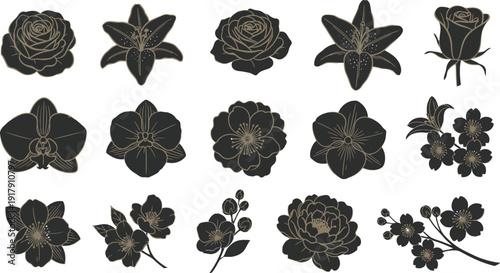 Black and gold floral silhouettes on white background flowers