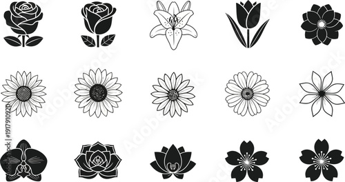 Black and white floral including rose lily tulip sunflower daisy orchid lotus