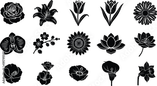 Black and white floral silhouettes collection flowers