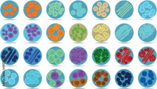 Microbiology Petri Dish Vector Set Featuring Colorful Bacteria Cultures, Cells, and Laboratory Samples for Science and Medical Research Designs