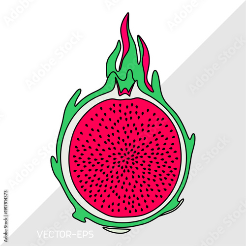 Dragon fruit sliced, smooth outline illustration, single line style