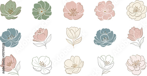 Various colored flower on white background flowers pastel colors green pink
