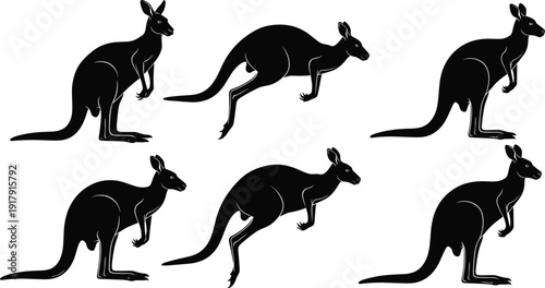 Kangaroo silhouette set isolated on white background jumping and standing black vector illustration collection Australian wildlife design