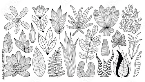 Large collection of diverse hand drawn leaves flowers and botanical elements in black line art style on white.