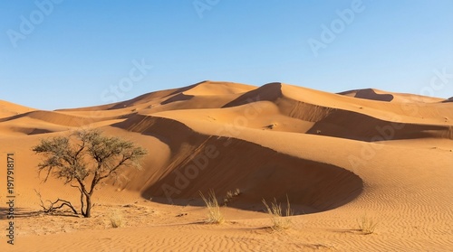 “Natural Desert Sand Dunes Landscape Under Clear Blue Sky”