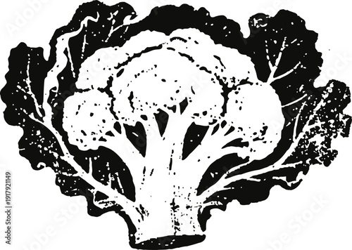 black and white cauliflower illustration with leaves vintage vegetable drawing, healthy organic food symbol
