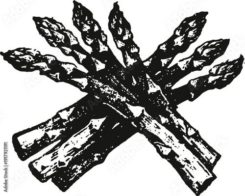 Black and white illustration of fresh asparagus bunch with detailed texture and shading