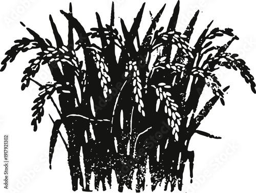 black silhouette of rice plant cluster with grains and leaves on white background