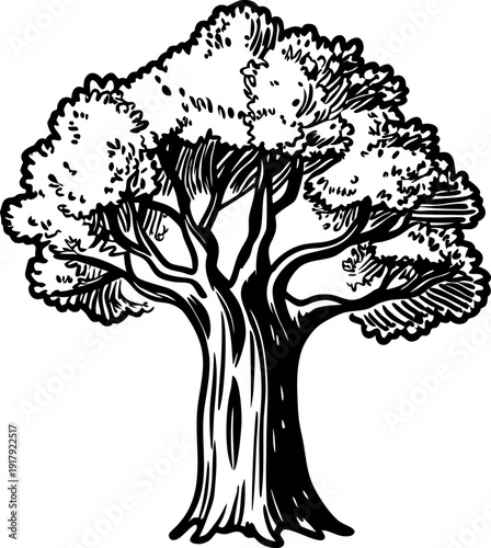 Large oak tree with dense foliage and sturdy trunk silhouette in black and white illustration