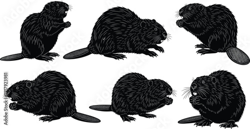 Beaver animal silhouette collection in different poses isolated on white background wildlife rodent vector illustration set