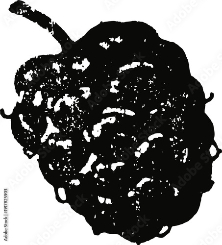 Black raspberry silhouette isolated on white background detailed berry outline and texture