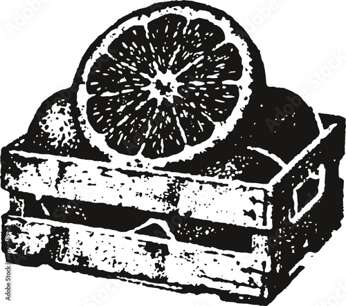 Wooden crate filled with oranges and a sliced orange on top vintage ink drawing
