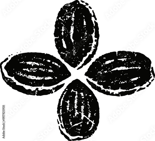 pecan nuts four pieces arranged in symmetrical pattern with detailed shell texture