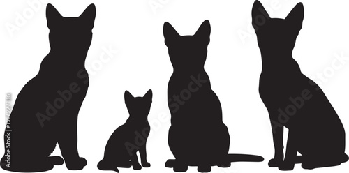 Silhouette of family of cats sitting together
