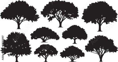 Collection of tree silhouettes in black and white