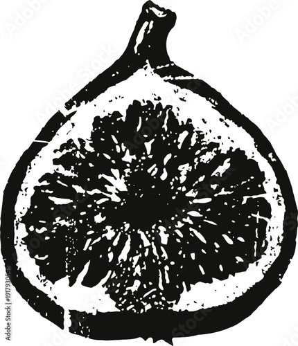 Vintage fig fruit illustration halved fresh fig with detailed seeds and textured skin