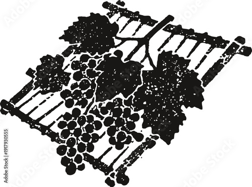 Black silhouette of grapevine branch with leaves and bunches of grapes lying on a wooden lattice