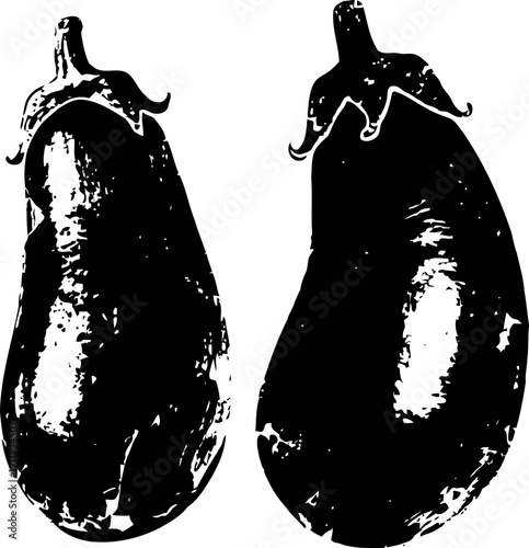 two ripe eggplants with stems, isolated on white background, detailed textured vegetable illustration