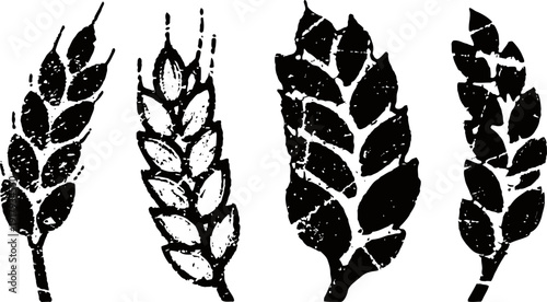 Grain ears silhouettes set, rustic wheat and barley heads textured black icons illustration