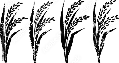 Set of four black rice plant silhouettes with grains and long leaves isolated on white background