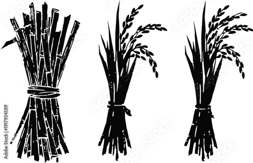 Bundles of sugarcane and rice stalks tied with string, black silhouettes isolated on white