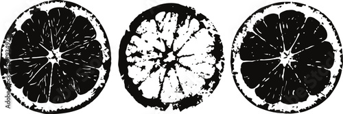 Black and white citrus fruit slices abstract textured orange and lemon cross sections in ink natural organic food illustration