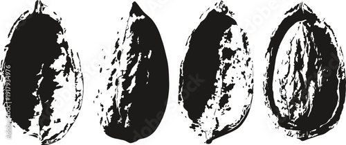 Set of four black and white almond illustrations with detailed texture and shadow