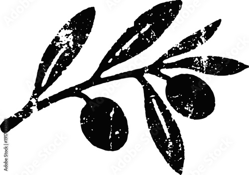 Black olive branch silhouette vintage rustic illustration of olives and leaves on a twig