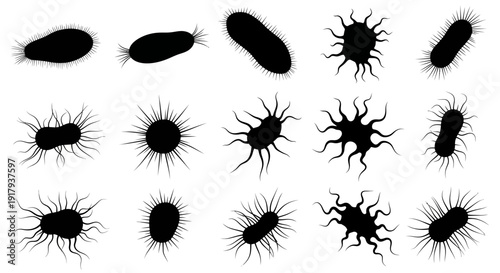 Bacteria and virus black silhouette icon collection. Includes various shapes of microorganisms, germs, microbes, and pathogens. Created in flat style with a monochrome palette.