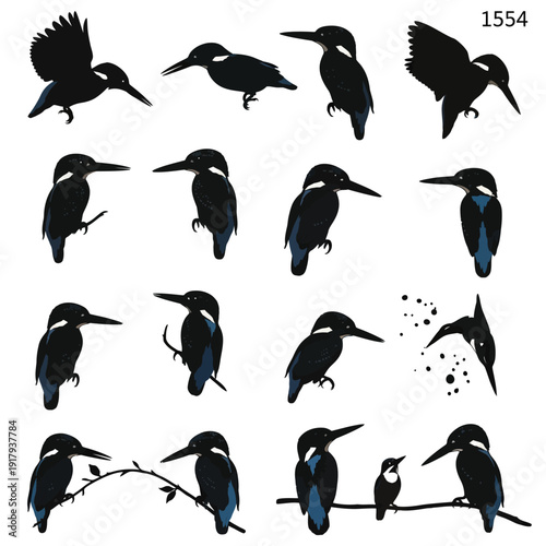 Kingfisher bird silhouette vector collection. Includes kingfishers in various poses like flying, perching, diving, and standing. Created in a flat silhouette style with black and blue colors.