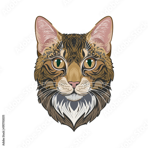An adorable domestic kitten with a tiger head isolated on a white background, featuring beautiful feline eyes and a cute brown fur portrait of a young tabby mammal looking forward