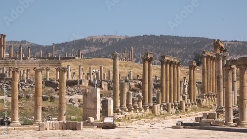 Exploring ancient Roman ruins in Jerash with tall columns and bright flowers on a clear day