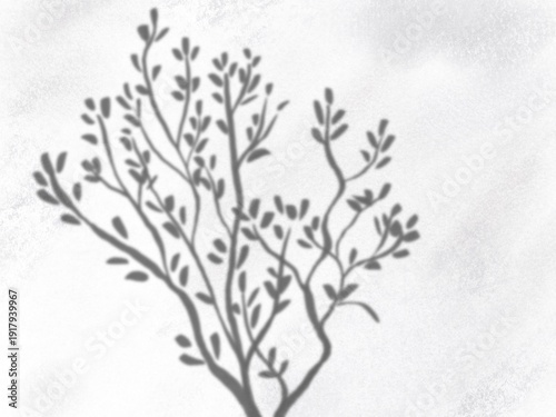 branches of a tree silhouettes overlay illustration background 