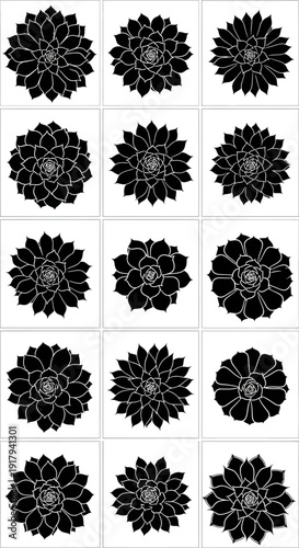 15 succulent plant silhouette icon collection. Includes various echeveria, sempervivum, and agave plant shapes. Created in flat black and white style with solid color.