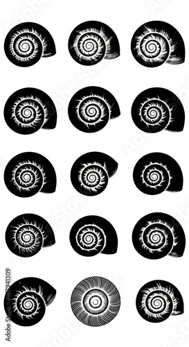 Set of 15 black and white snail shell silhouettes with intricate spiral patterns, showcasing various angles and details of the mollusk's natural form, isolated on a transparent background.