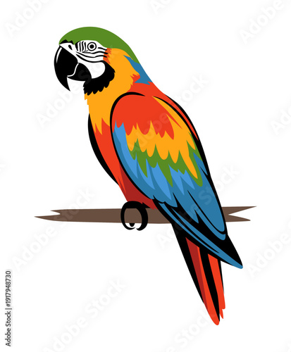A vector Illustration of a macaw parrot