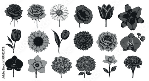 Black and white floral of various flowers gray