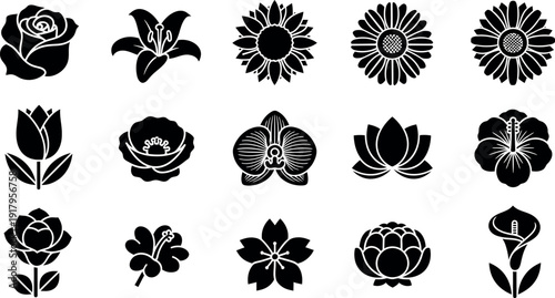 Black and white floral on white background flowers silhouettes 3 rose