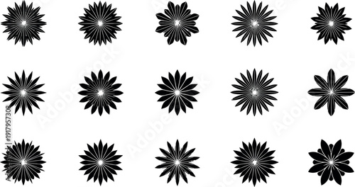 Black and white floral pattern with 12 identical flowers