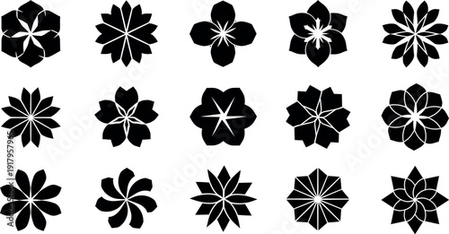 Black and white floral shapes with pointed petals and star centers flowers